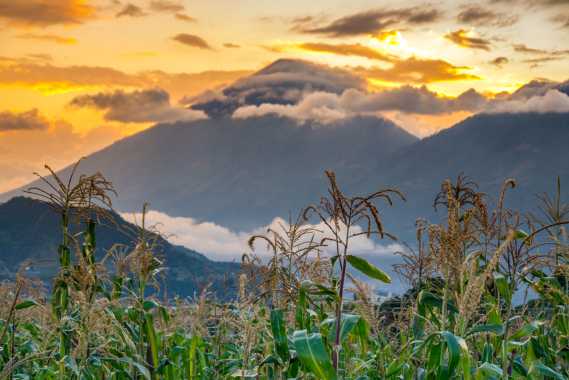 Atitlan Sunset