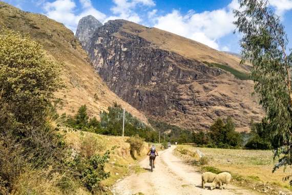 ANCASH16_05-Paron-1125-043-H811