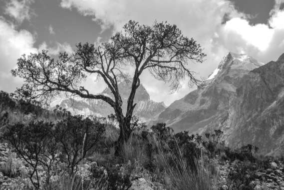 ANCASH16_05-Paron-1126-307-GX1