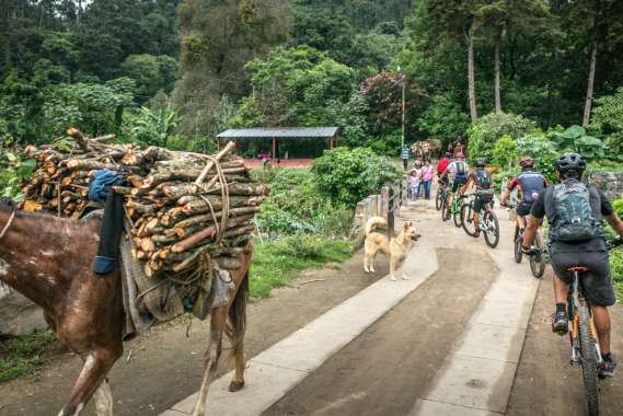 MTB-GUA_170625-030-G85