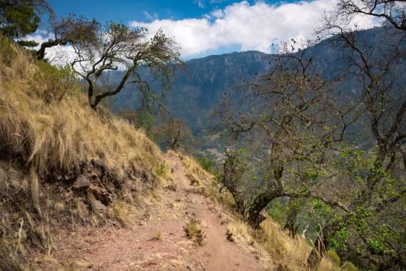 MTB-Guatemala-170413-110-Pano-G85