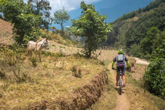 MTB-Guatemala-170413-191-G85