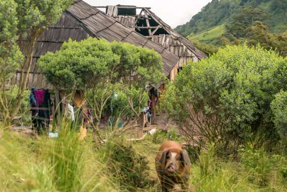 Guatemala-171005-199-G7