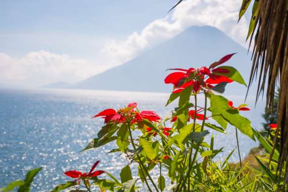 Guatemala-171213-167-G85