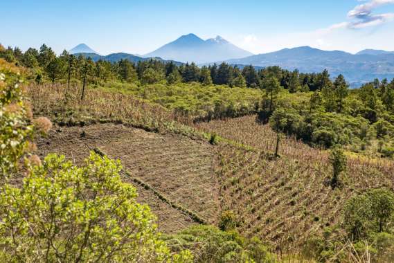 Guatemala-171220-031-G85