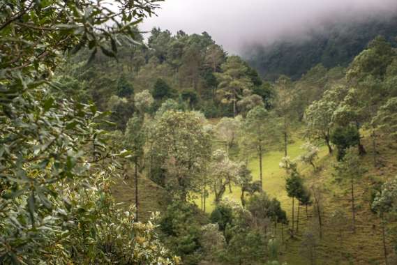 Guatemala-171225-015-G85
