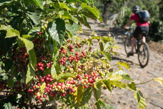 MTB-Guatemala-171215-034-G85