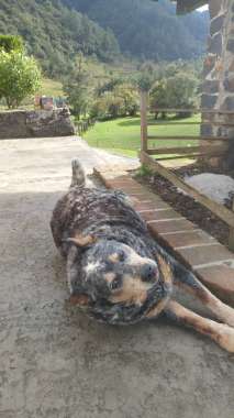 MTB-Guatemala-171225-006-G5