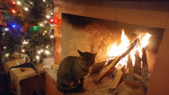 MTB-Guatemala-171225-037-G5