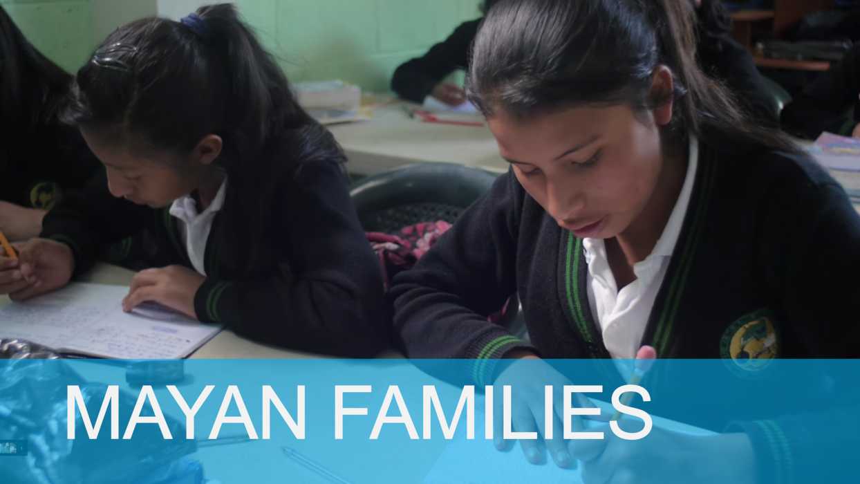 Mayan Families - Education Series